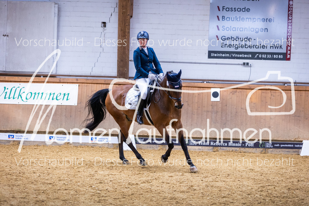 Sth-A-Dre-2St-096 | MomenTaufnahmen Pferdesportfotos