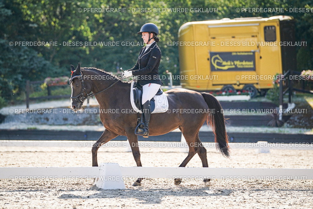 DSC08937 | Pferdegrafie