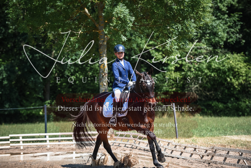 DSC_3376 | Pferde- und Turnierfotografie in Westsachsen. Pferdeportraits, Auftragszeichnungen und intuitive Kunst.