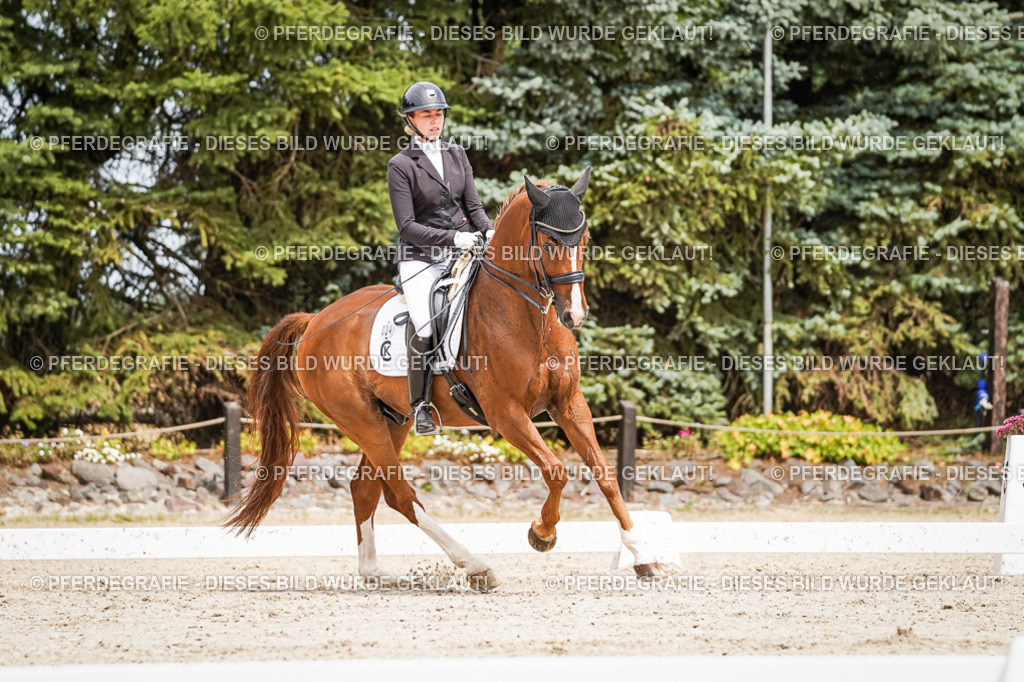 DSC05304 | Pferdegrafie