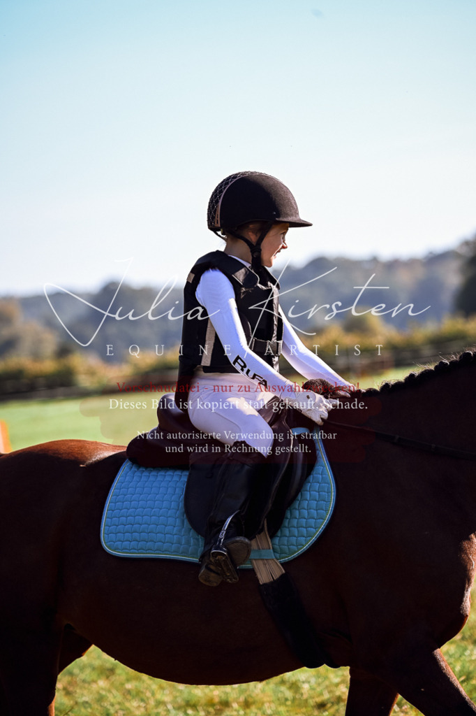 DSC_0272 | Pferde- und Turnierfotografie in Westsachsen. Pferdeportraits, Auftragszeichnungen und intuitive Kunst.