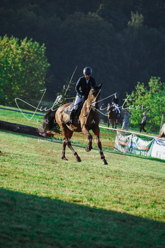 DSC_3838 | Pferde- und Turnierfotografie in Westsachsen. Pferdeportraits, Auftragszeichnungen und intuitive Kunst.