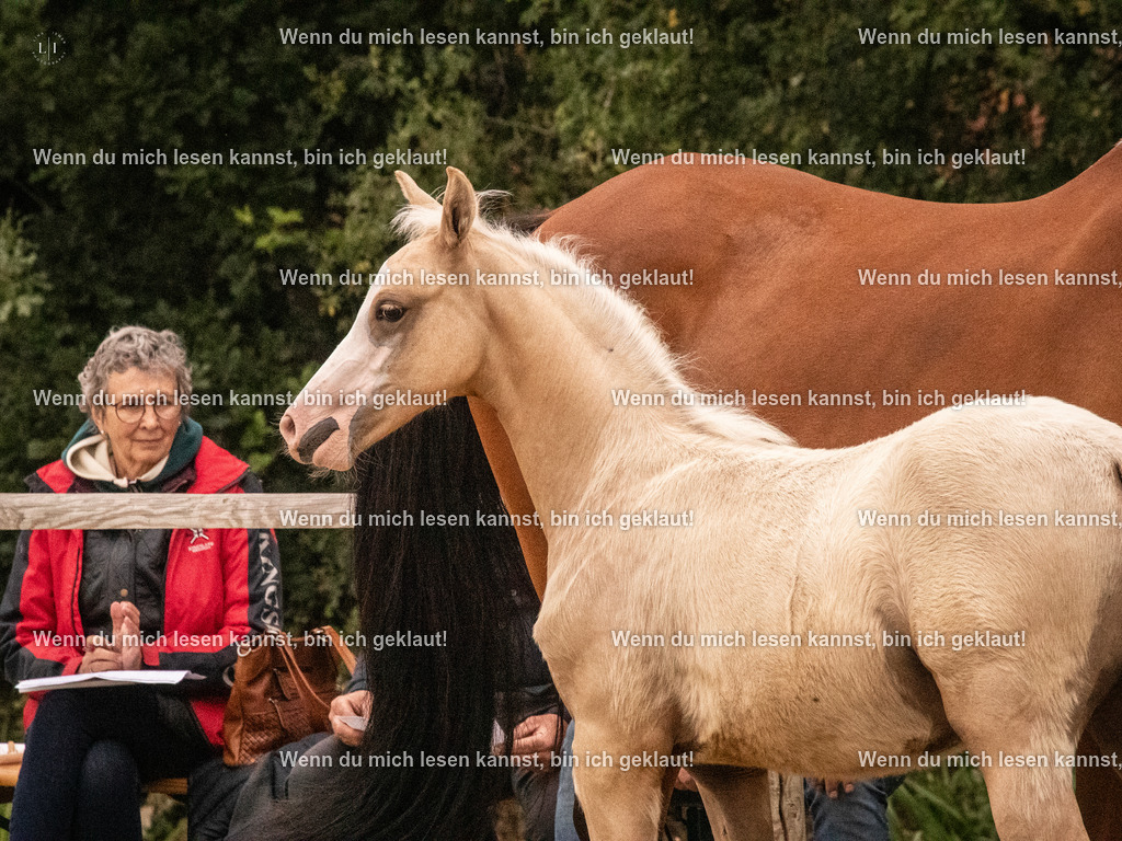 A10I2121 15.54.45 | photographylinaismer - Realisiert mit Pictrs.com