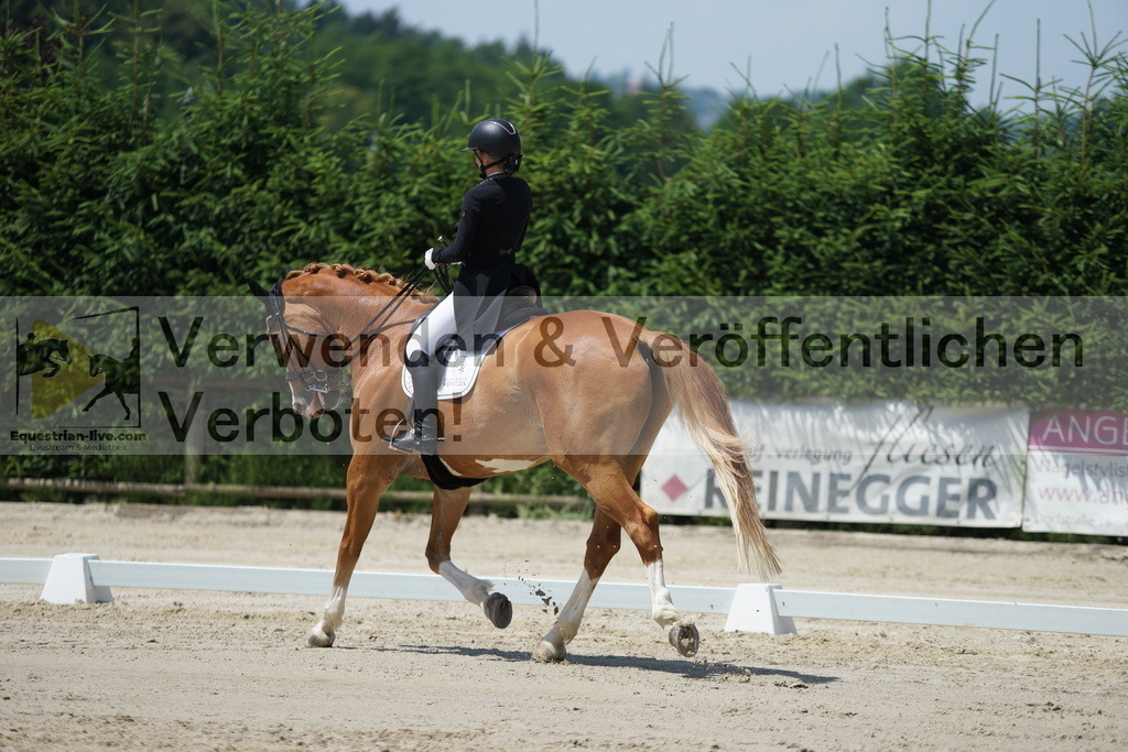 DSC05027 | equestrian-live-com