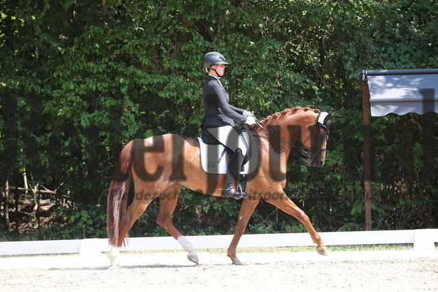 Ichenheim_2026_BW_Meisterschaften_Prfg.Nr.28_2.WP_Ponyreiter_Carlotta Stölzle (2) | Alle Fotos der Reiterjournal Fotografin Doris Matthaes im Reiterjournal Online-Fotoshop. - Realisiert mit Pictrs.com