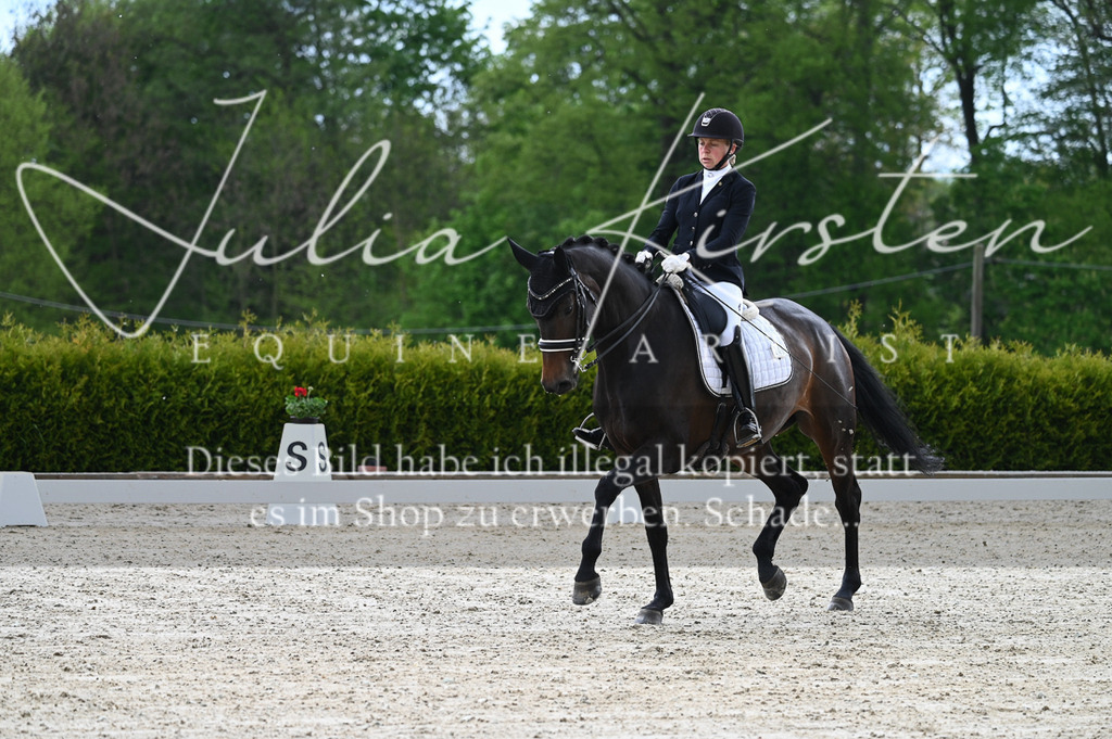 20230512_JK-Röhrsdorf-05-033 | Pferde- und Turnierfotografie in Westsachsen. Pferdeportraits, Auftragszeichnungen und intuitive Kunst.