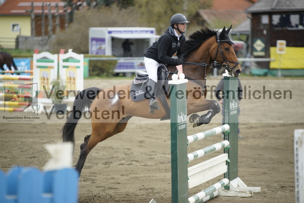 _DSC7356 | equestrian-live-com