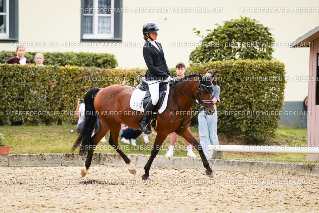 DSC00881 | Pferdegrafie