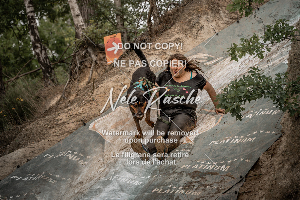 nelerasche_sa1300-1345_546 | nelerasche