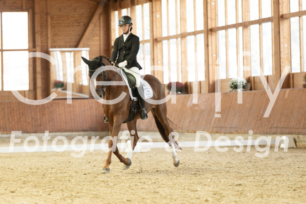 IMG_1219 | Creatify Fotografie