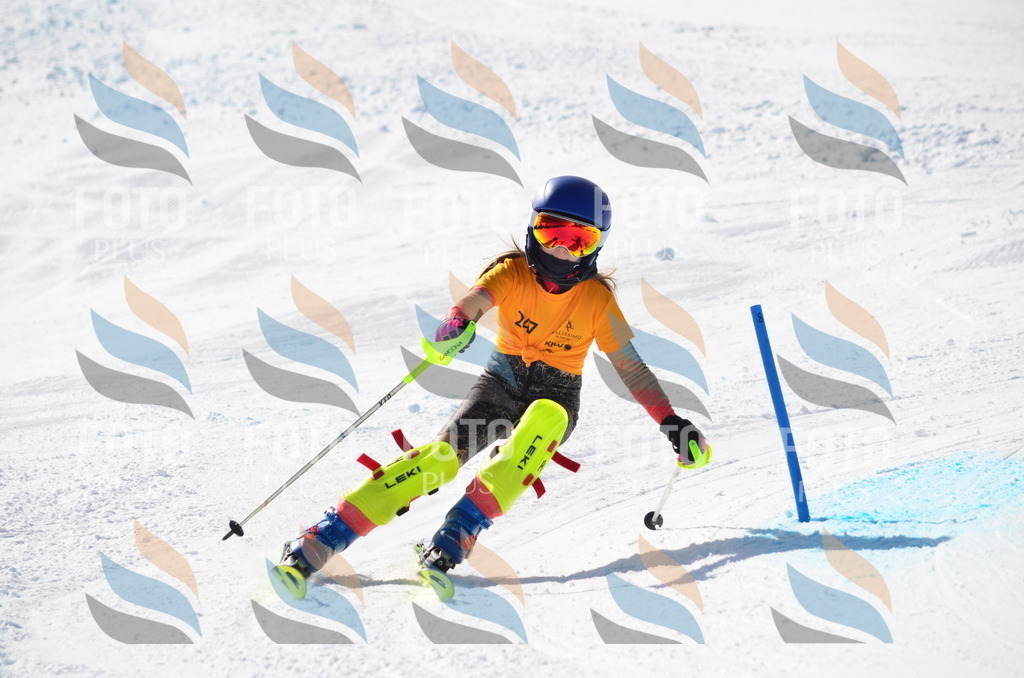 C8422 | holidayphoto