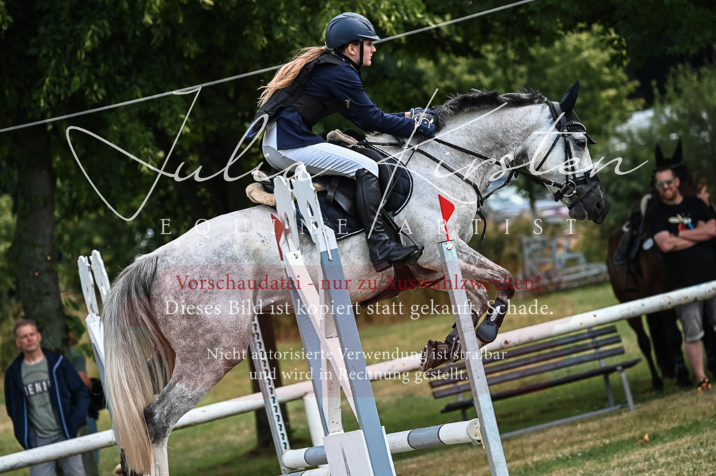 DSC_8143 | Pferde- und Turnierfotografie in Westsachsen. Pferdeportraits, Auftragszeichnungen und intuitive Kunst.