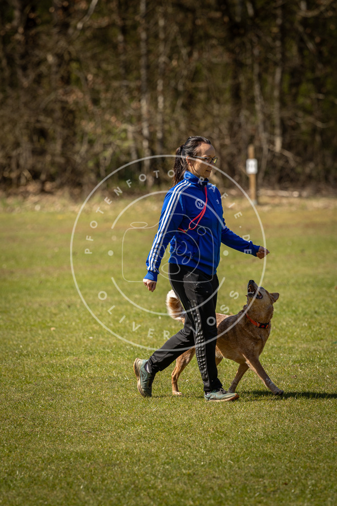 Pfotenfotografie_DV3A0870 | Hundefotografie, Tierfotograf, Pfotenfotografie, Fotoshooting Hund, Hunde Portrait, Hundesport, Hundeportraits, Heideshooting, Hunde, Sportfotograf, Hundefotograf, Turnierhundsport, THS,  - Realisiert mit Pictrs.com
