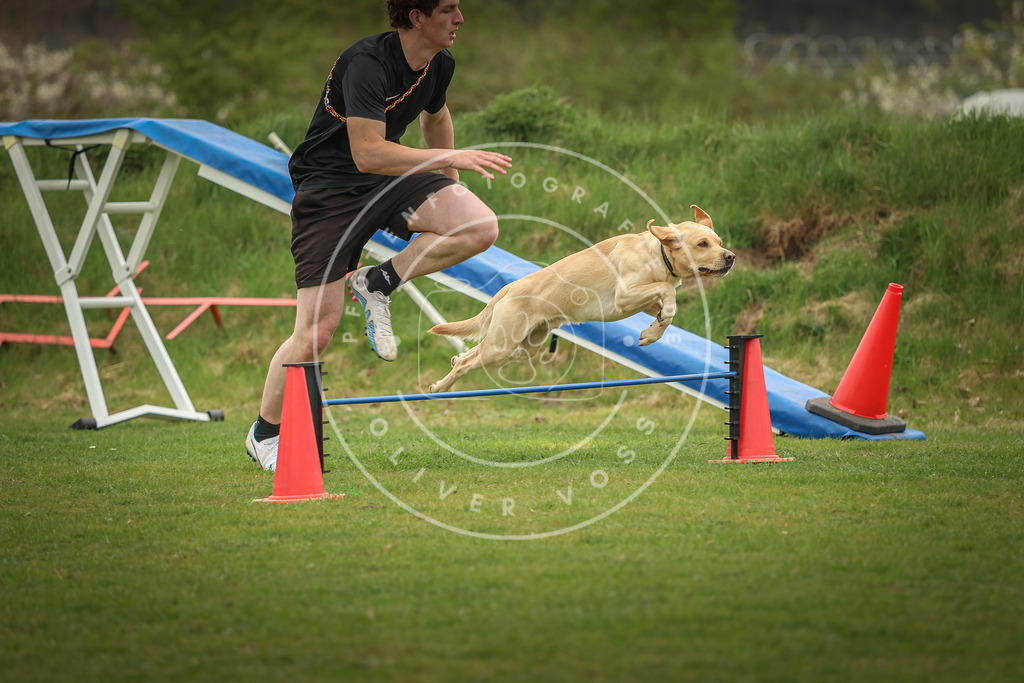 Pfotenfotografie_0L8A0403 | Hundefotografie, Tierfotograf, Pfotenfotografie, Fotoshooting Hund, Hunde Portrait, Hundesport, Hundeportraits, Heideshooting, Hunde, Sportfotograf, Hundefotograf, Turnierhundsport, THS,  - Realisiert mit Pictrs.com