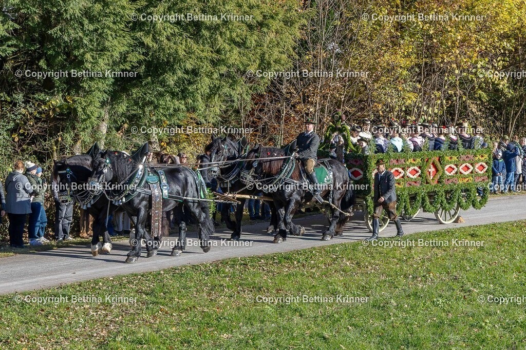 LBT25-301 | foto-bettina-krinner - Realisiert mit Pictrs.com