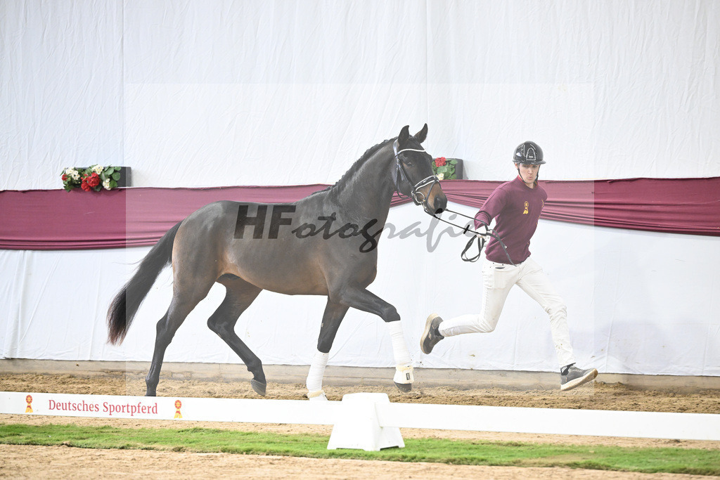 Kat-Nr. 109 Bon Courage x San Remo_Jakob u Martina Reglauer_47253667 | hf-fotografie - Realisiert mit Pictrs.com