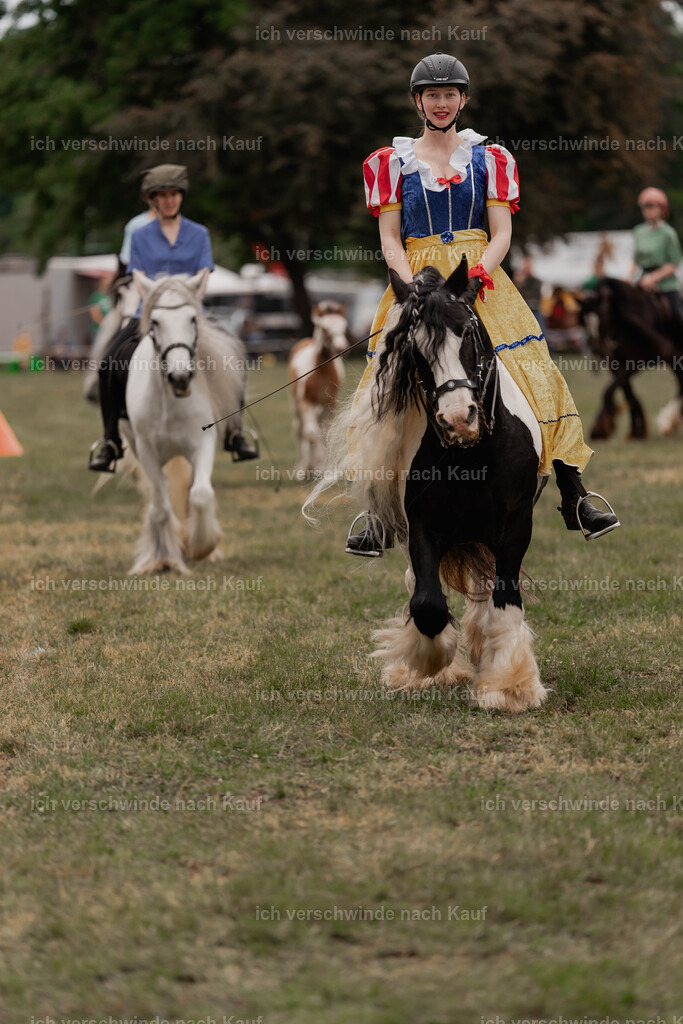 Showprogramm-408 | working equitationturnier fotograf videograf stoibphotography marixx film working equitation deutschland reitsport turnierfotografie eventfotografie equestrian events