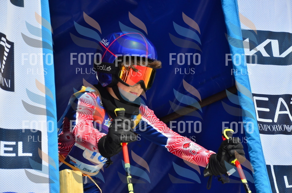 _ELE1271 | holidayphoto