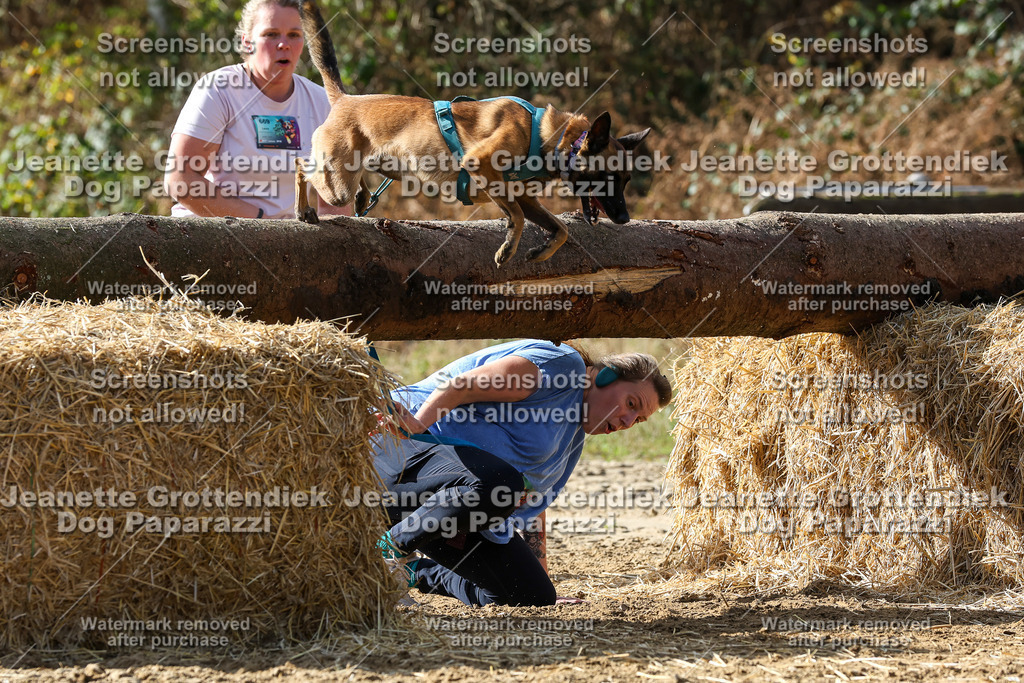 Dog Paparazzi - Strongdog 10-25-5457 | Dog Paparazzi Jeanette Grottendiek Fotografie & Videografie - Realisiert mit Pictrs.com