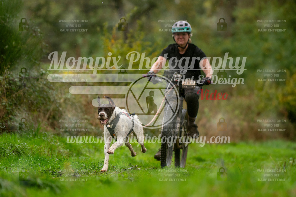 TSB_2023_E6_Bike-31 | PayLife