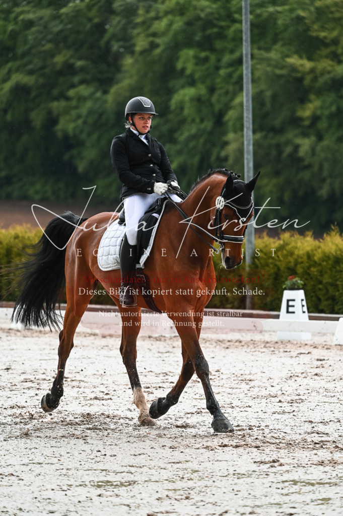 DSC_4372 | Pferde- und Turnierfotografie in Westsachsen. Pferdeportraits, Auftragszeichnungen und intuitive Kunst.