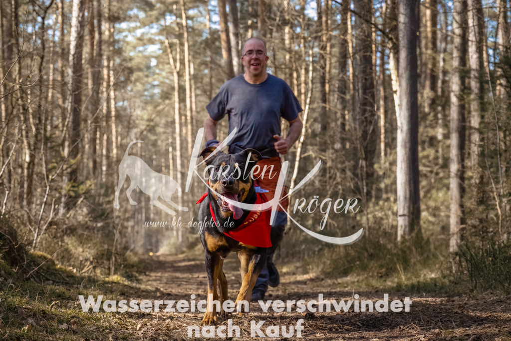1316_ZZ94562-Bearbeitet | kk-dogfotos