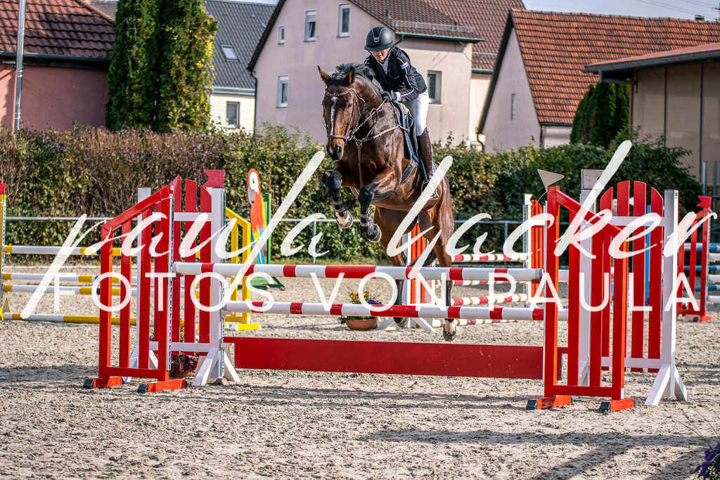 IMG_5664 | Erleben Sie dynamische Sport- und emotionale Tierfotografie in Süddeutschland mit Fotos von Paula. Spezialisiert auf Pferde- und Hundefotografie sowie Sportevents. Kontaktieren Sie mich für einzigartige und ausdrucksstarke Bilder Ihrer besonderen Momente. - Realisiert mit Pictrs.com
