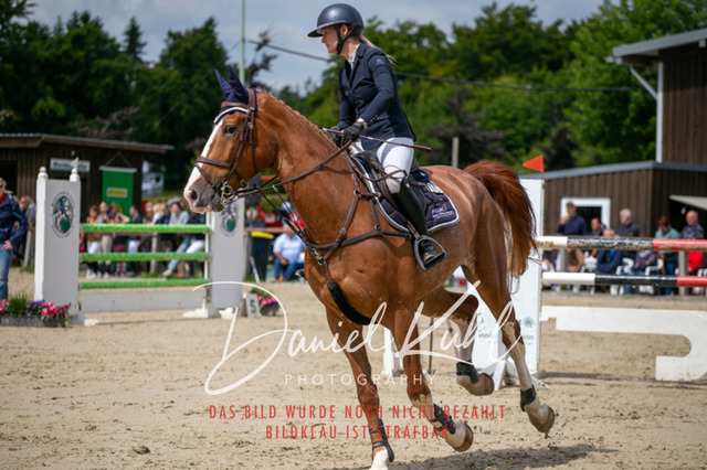 IMG_5678 | Turniersportfotografie; Pferdefotografie; Dressurfotografie