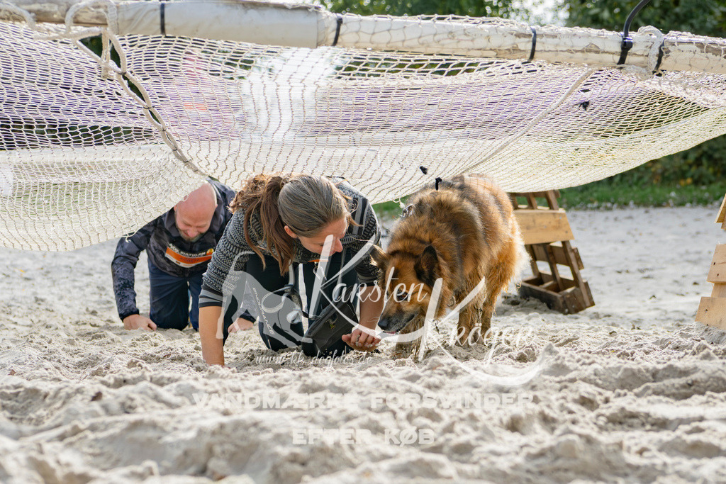 1306_ZZ94968 | kk-dogfotos