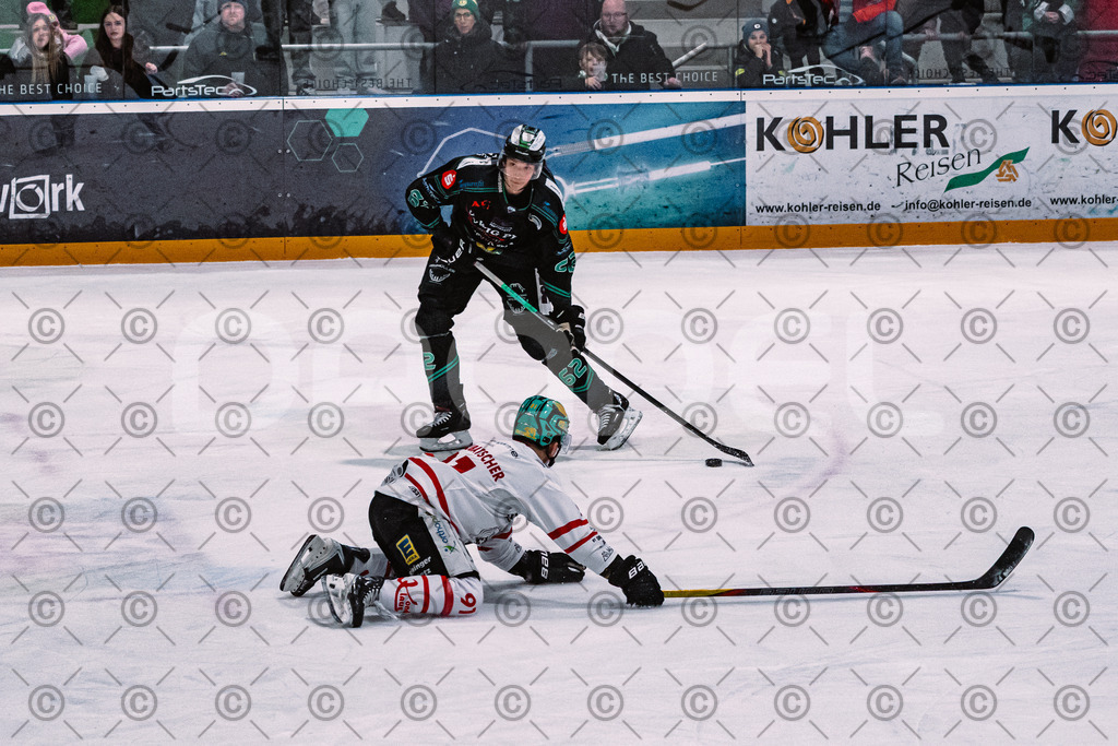 Alligators_vs_Toelz_15_02_2026-30 | Höchstadt Alligators Fotogalerie: Eishockey-Action aus Franken. Professionelle Spielfotos, Portraits & Stadionbilder zum Download. Jetzt entdecken! - Realisiert mit Pictrs.com