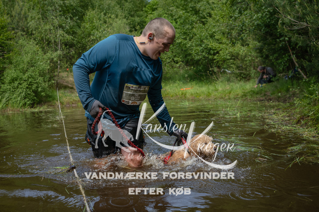 1254DKK993625 | kk-dogfotos