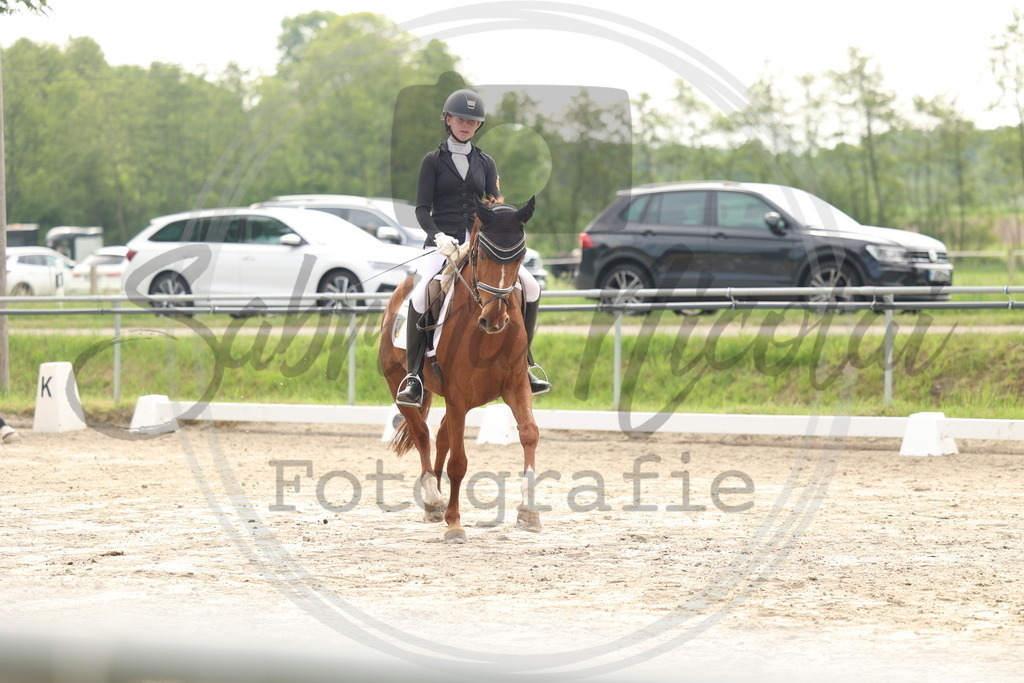 994A6255 | sabrinanicolaifotografie - Realisiert mit Pictrs.com