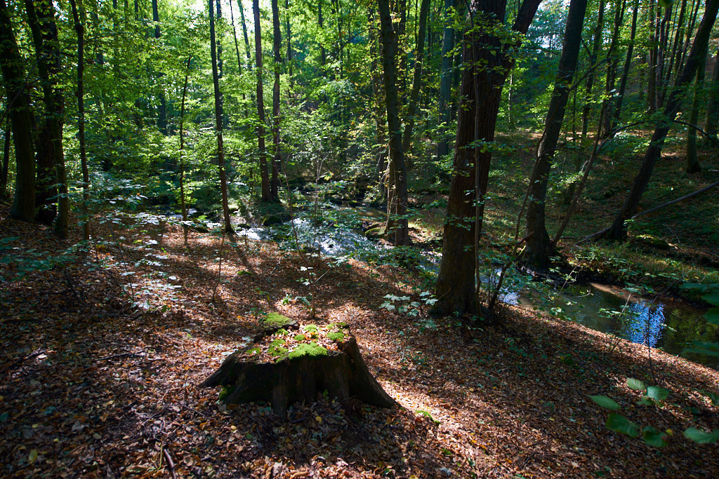In der Neustädtler Skala 10 | Bedeutsame Landschaften Deutschlands - Realisiert mit Pictrs.com