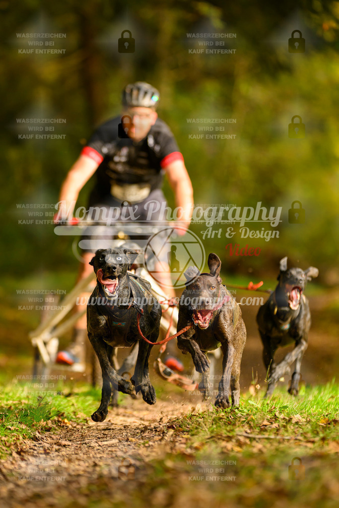 MompixPhotography_20TSB_E1_Kart-5 | PayLife