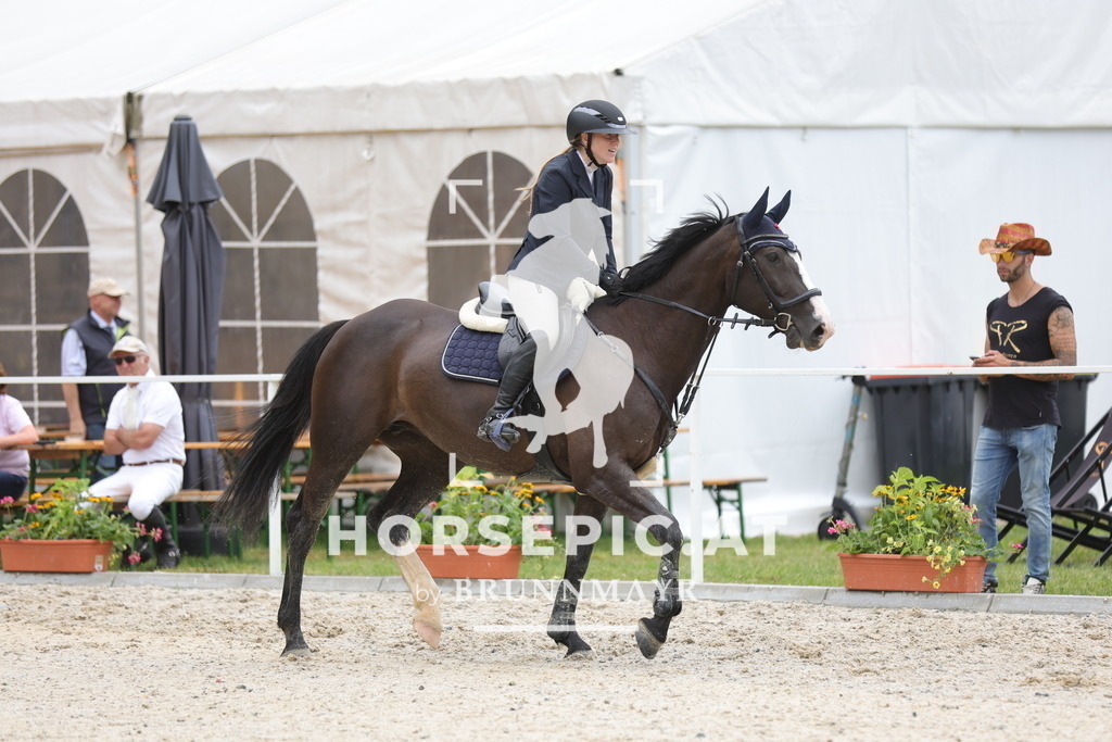 0P6A3731 | Willkommen bei Brunnmayr - Design & Fotografie – Ihrem Spezialisten für Reitturniere und Pferdeveranstaltungen in Oberösterreich, Salzburg und Bayern! Seit über 17 Jahren sind wir leidenschaftlich dabei.