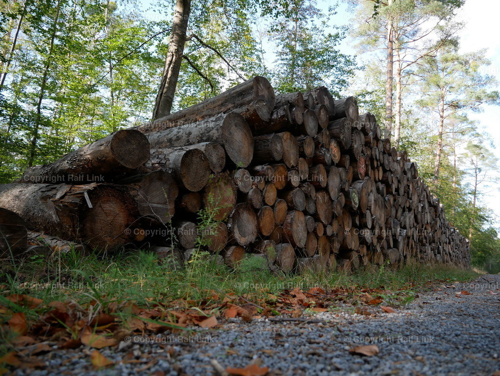 P1000489 | Stockfotos, Fotos mit Miniaturfiguren und kreativen Ideen. Dabei auch vieles aus der Metropolregion Rhein-Neckar. 