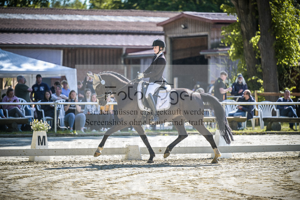 DOS_2278 | Entdecke hochwertige Reitturnierfotos von Foto Oger. Professionell, emotional und authentisch – jetzt Lieblingsmomente im Shop bestellen.Deutschlandweite Turnierfotografie. - Realisiert mit Pictrs.com