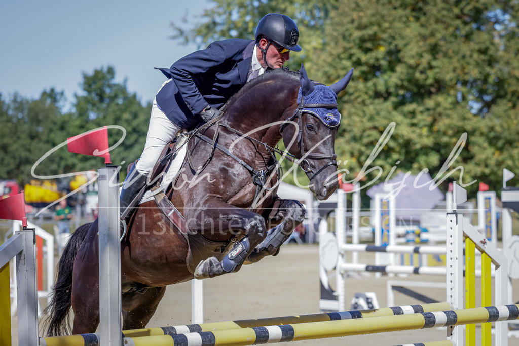 20250906-_3LI3937 | Tierfotografie Pferde, Hunde, Katzen, Haustiere.
Turnierfotografie Reitturniere, Reiten, Springreiten, Dressur in Hanau, dem Main-Kinzig-Kreis und dem Rhein-Main- Gebiet um Frankfurt