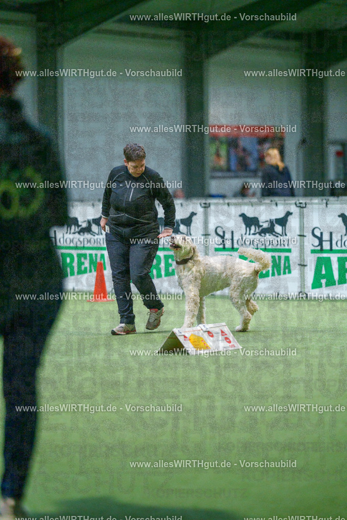 7R500784 | Professionelle Tierfotografie in Mönchengladbach von Daniel Wirth (allesWIRTHgut). Liebevolle & natürliche Bilder von Hunden & Katzen für unvergessliche Erinnerungen.