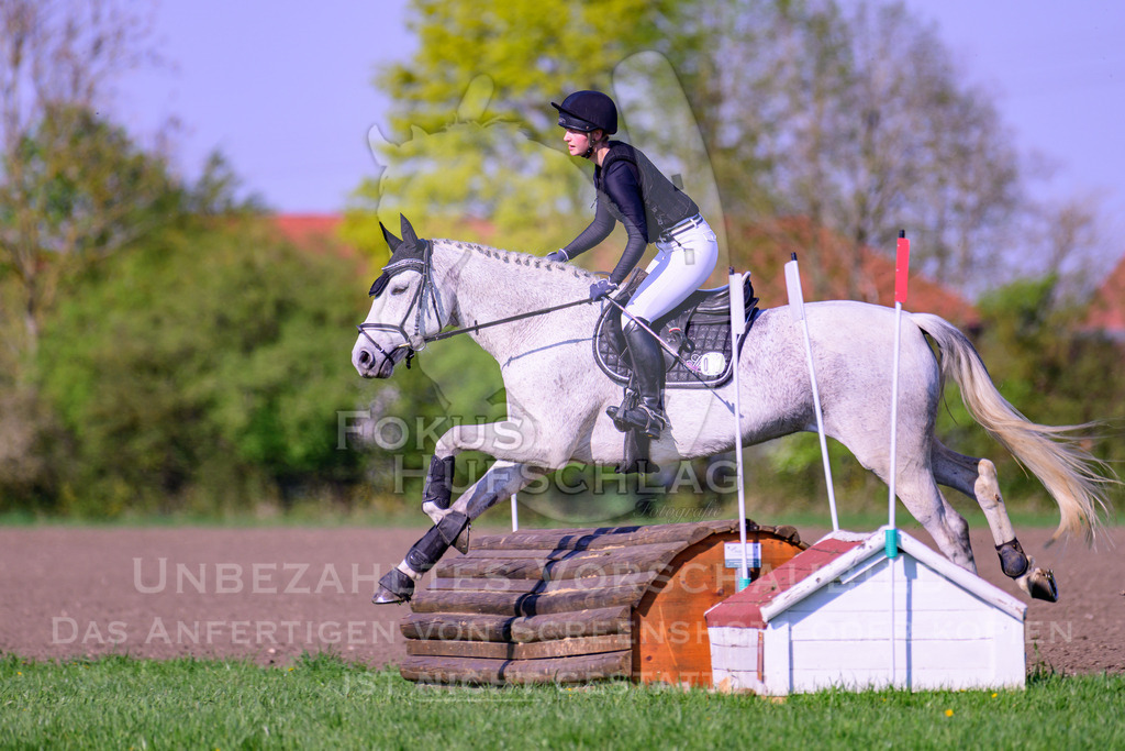 18042026-Gernlinden-04-1-1237 | Fokus Hufschlag Fotografie - Realisiert mit Pictrs.com