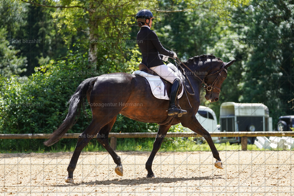 20240705-FAH04129 | Turnierbilder von Grafing, Reitsportbilder, Turnierfotos, Turnierfotografen Bayern, Pferdefotograf, Fotoagentur Herrmann