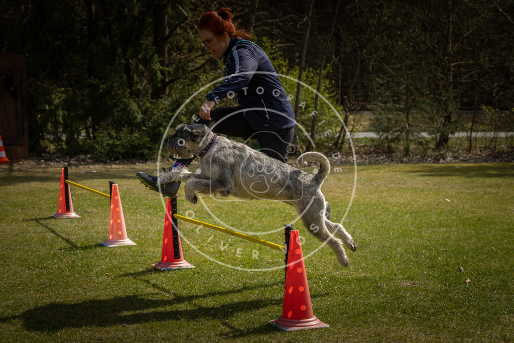 Pfotenfotografie_DV3A3722 | Hundefotografie, Tierfotograf, Pfotenfotografie, Fotoshooting Hund, Hunde Portrait, Hundesport, Hundeportraits, Heideshooting, Hunde, Sportfotograf, Hundefotograf, Turnierhundsport, THS,  - Realisiert mit Pictrs.com