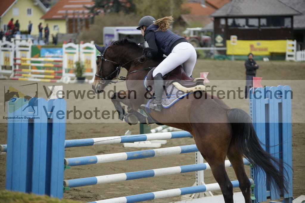 _DSC7216 | equestrian-live-com