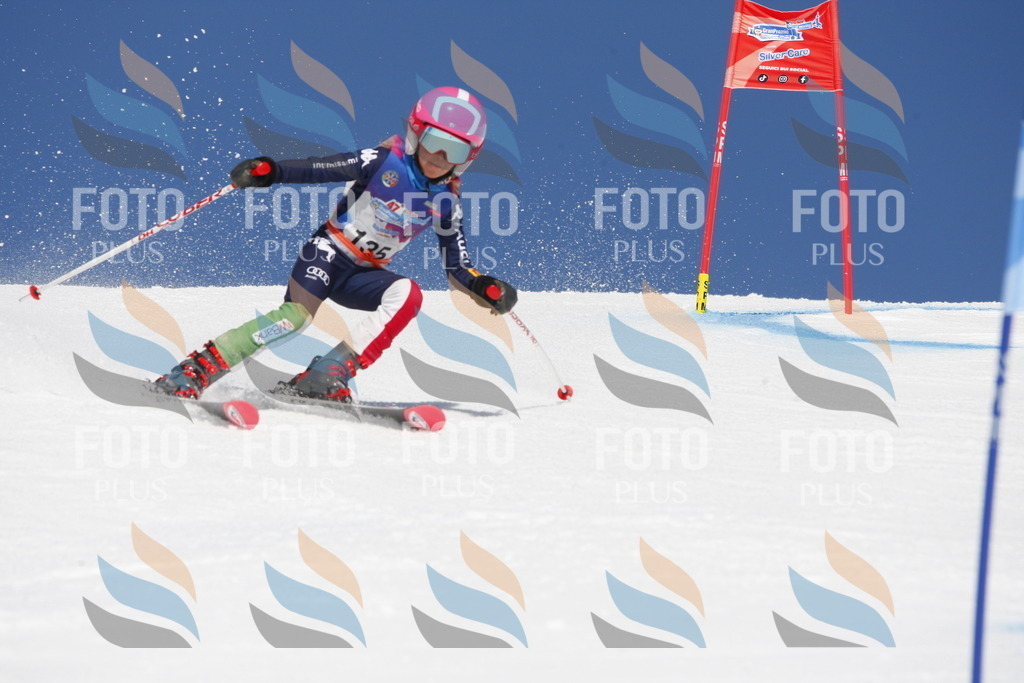 _W1G2026 | holidayphoto