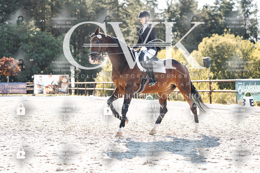 CK906520 | Turnierfotografie Pferdefotografie Trier Rheinland-Pfalz Pferdesport Reitsport Tierfotografie Sportfotografie Pferdevideo Pferdevideografie Equestrianvideography equestrianphotography  - Realisiert mit Pictrs.com