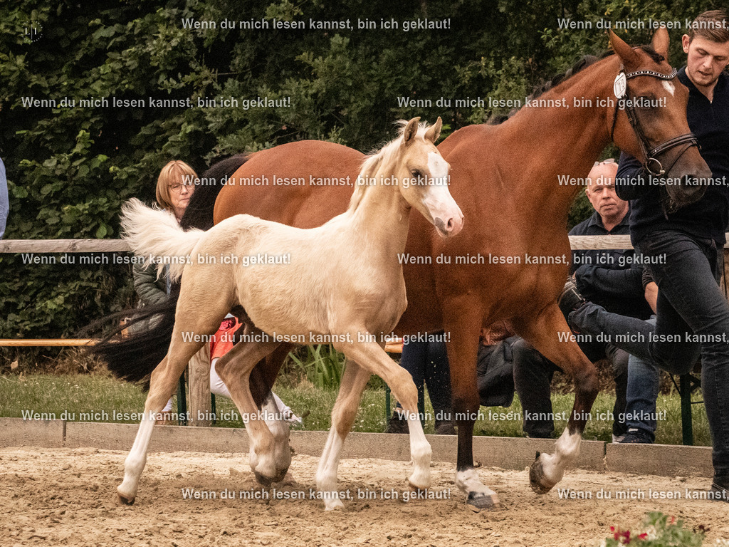 A10I2060 15.54.45 | photographylinaismer - Realisiert mit Pictrs.com