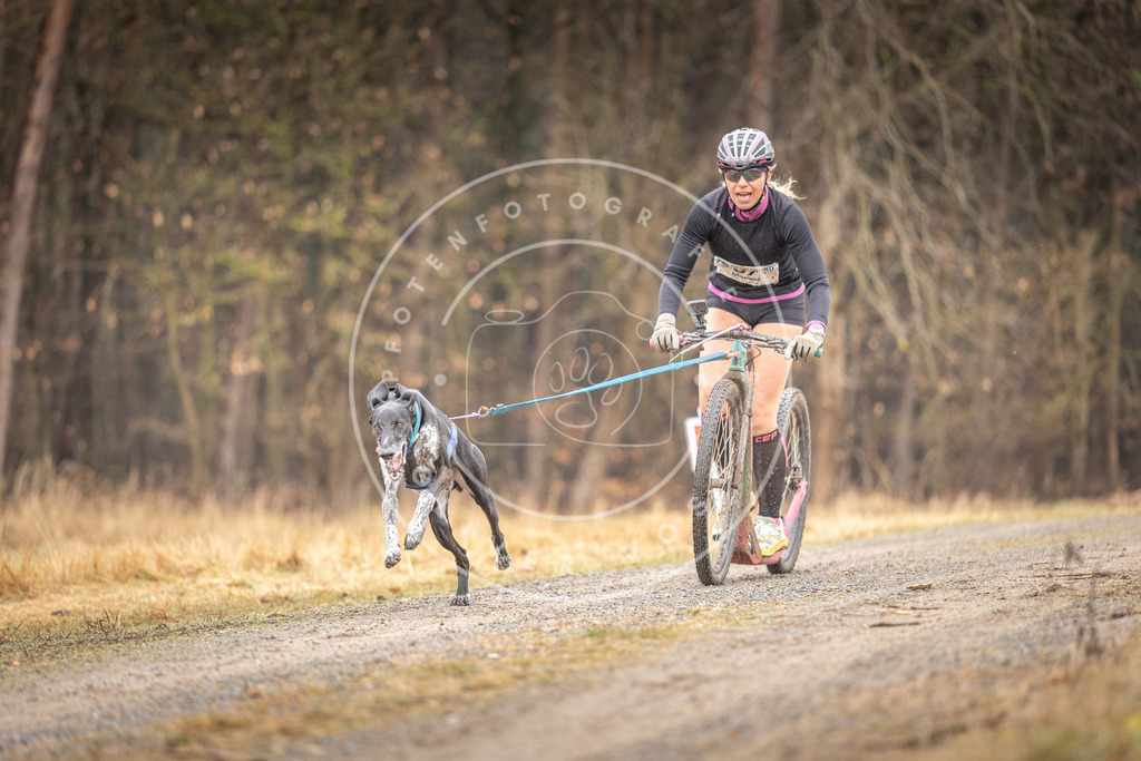 DV3A3163 | Hundefotografie, Tierfotograf, Pfotenfotografie, Fotoshooting Hund, Hunde Portrait, Hundesport, Hundeportraits, Heideshooting, Hunde, Sportfotograf, Hundefotograf, Turnierhundsport, THS,  - Realisiert mit Pictrs.com