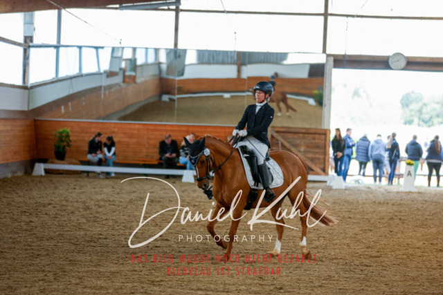 _62_6962 | Turniersportfotografie; Pferdefotografie; Dressurfotografie