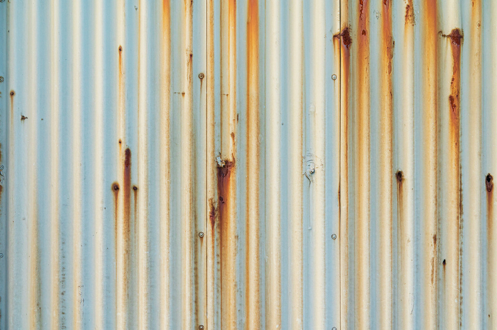 2022_11_19_SH-HETLINGER-SCHANZE_MCP5943 | Hochwertig gedruckte Fotografien für die Wand, als Kalender und zum Verschenken. Hamburg & Norddeutschland und überall wo ich mit der Kamera unterwegs war.