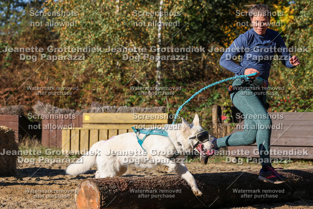 Dog Paparazzi - Strongdog 10-25-1684 | Dog Paparazzi Jeanette Grottendiek Fotografie & Videografie - Realisiert mit Pictrs.com